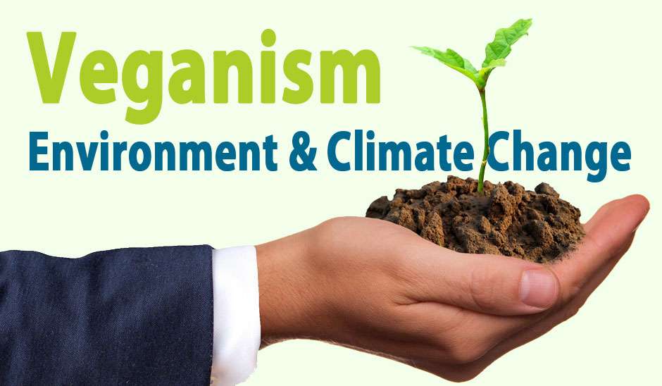 Environmental impact of Veganism