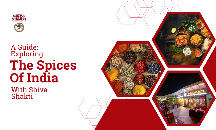  Exploring the Spices of India with Shiva Shakti: A Beginner’s Guide